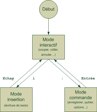 Vim move